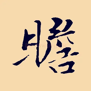 瞻