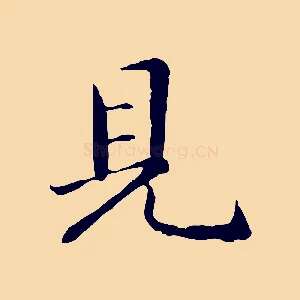 見