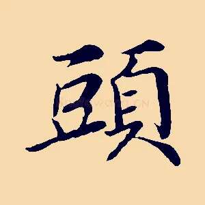 頭