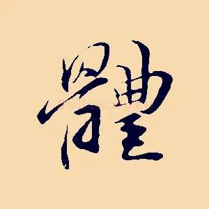體