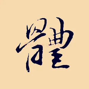 體