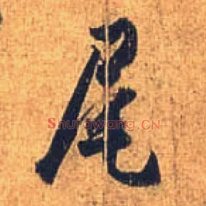 尾
