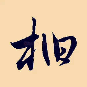 柏