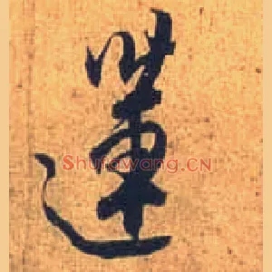 莲