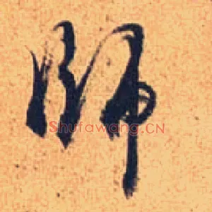 师