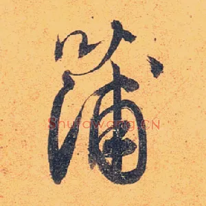 蒲