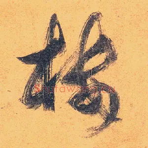 楼