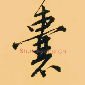 囊