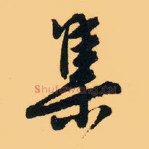 集