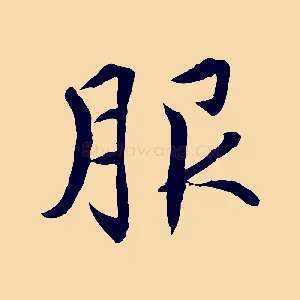 服