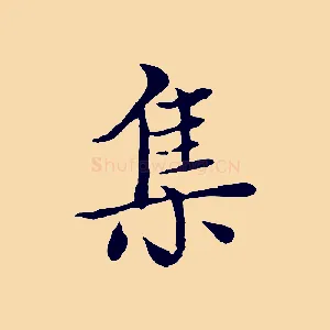 集
