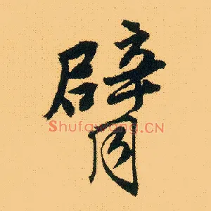 臂