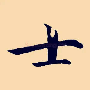 士
