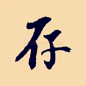 存