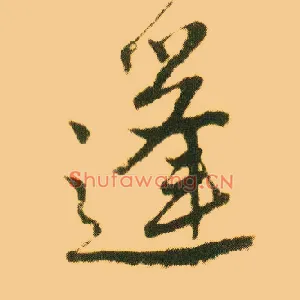 蓬