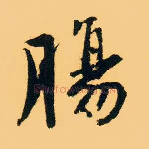 肠