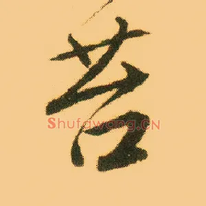 苔