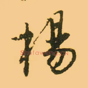 杨
