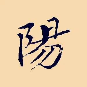 陽