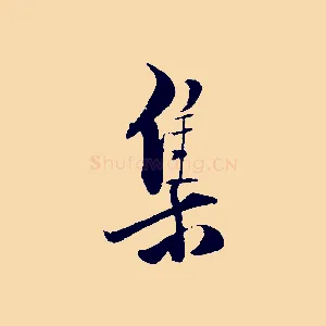 集