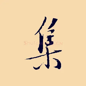 集