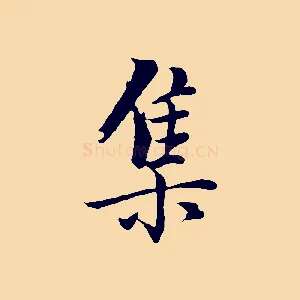 集