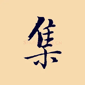 集