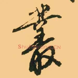 丛
