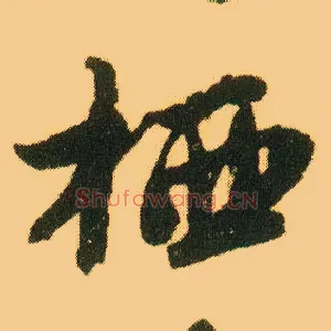 栖