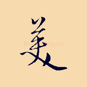美