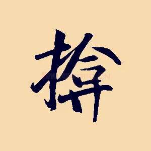 揜