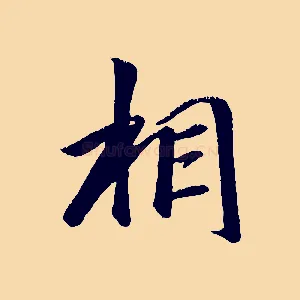 相