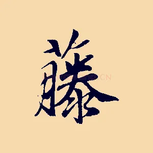 藤