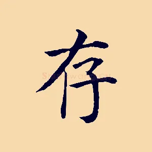 存