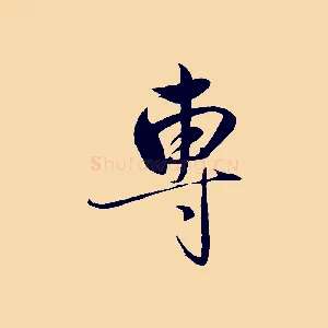 專