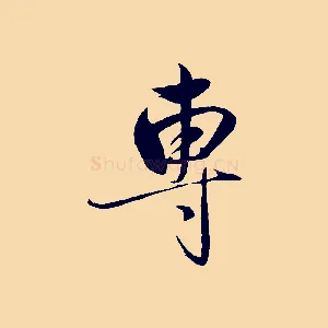 專