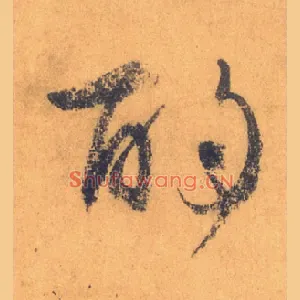 酌