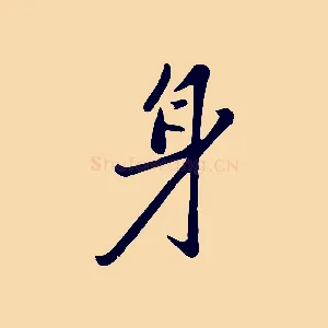 身