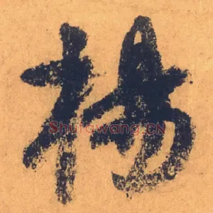 楊