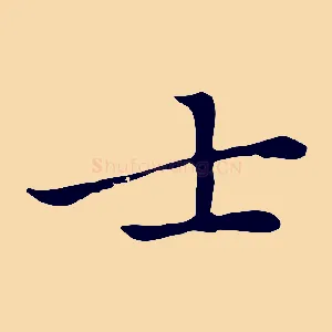 士