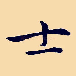 士