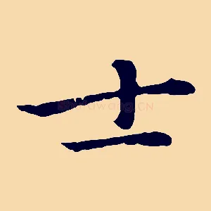 士