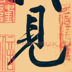 見