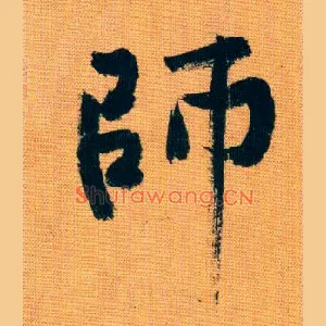 师