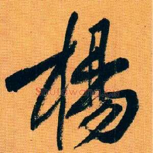 杨