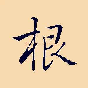 根