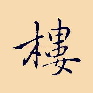 樓