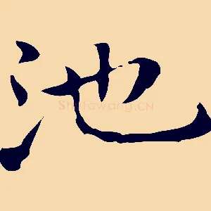 池