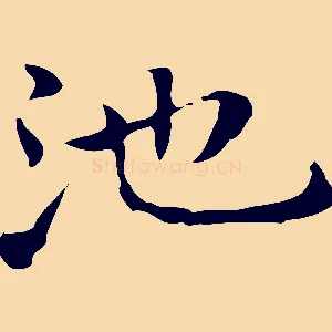 池
