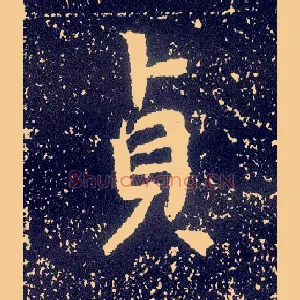 贞